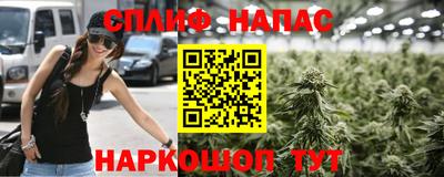 спайс Гагарин