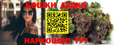 индика Гай