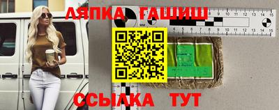 индика Гай