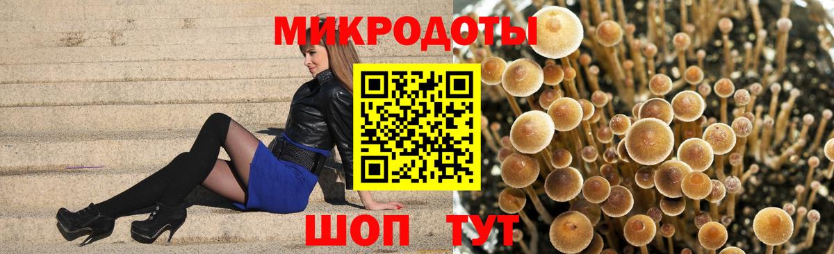 Малгобек  Галлюциногенные грибы мухоморы  Вход с VPN 