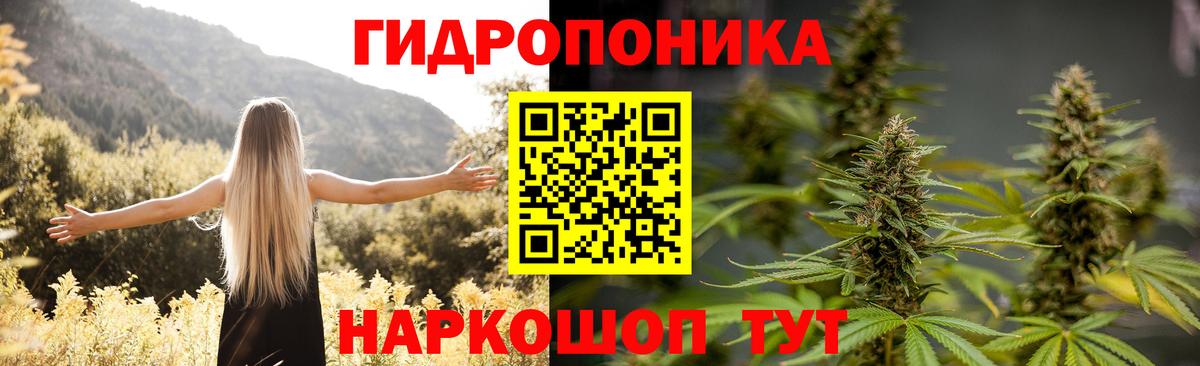 Малгобек  Бошки Шишки VHQ  Каннабис планчик  Вход с VPN  Марихуана OG Kush 